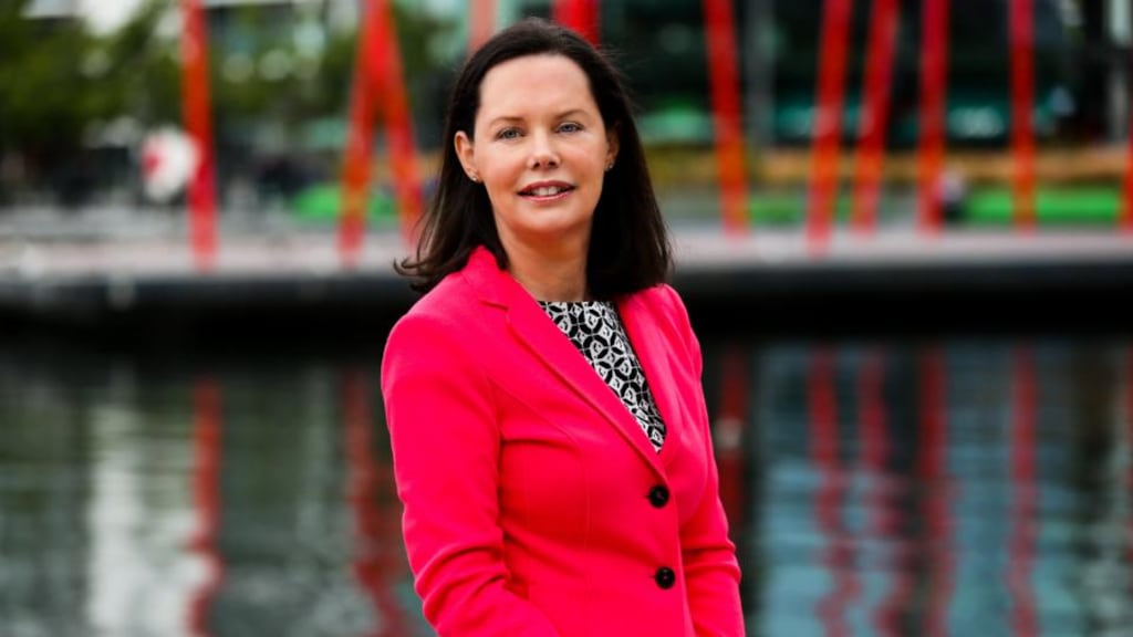 Irish Tax Institute president Mary Honohan