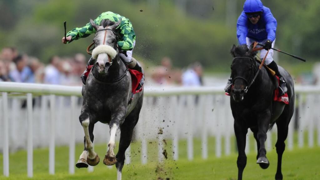 The Grey Gatsby (Ryan Moore, left) lands the Betfred Dante Stakes at York.
