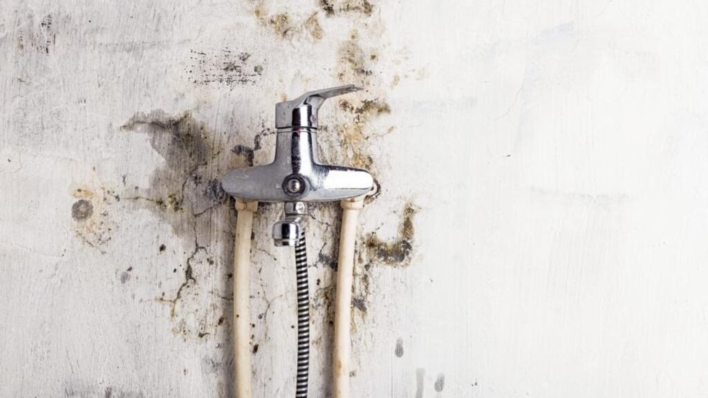 File photograph: The owner in question, who does not want to be named, said he first noticed a severe mould problem with his apartment shortly after he moved in, at the beginning of 2006. Photograph: iStock