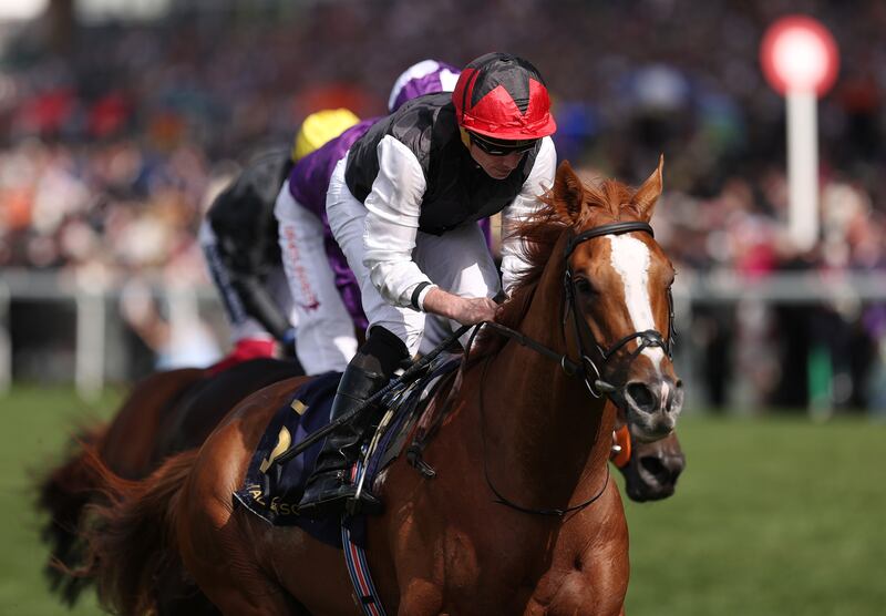 Kyprios ridden by Ryan Moore winning the Ascot Gold Cup in 2022. Photograph: Ryan Pierse/Getty Images