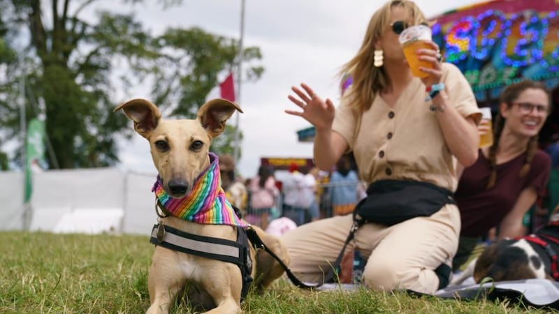 Toni O’Rourke and her lurcher Phoebe at Kaleidoscope Festival in Russborough House. Photograph: Fran Veale