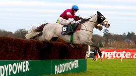 Cheltenham Festival tips: Day Three