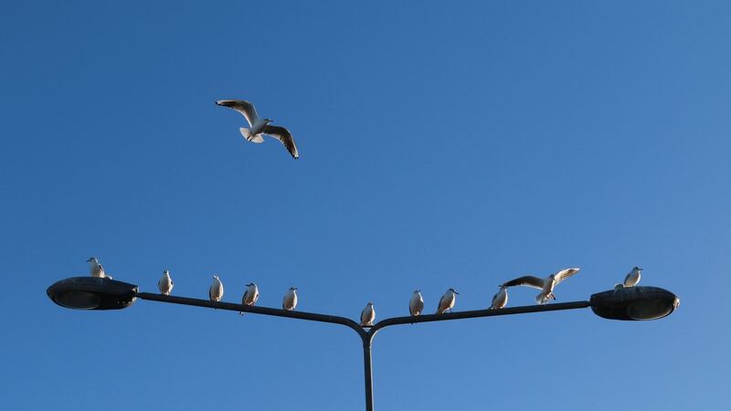 By understanding the dying process, grieving families will take the comfort of witnessing their loved one experience normal, gentle dying into their bereavement with them. Photograph Nick Bradshaw