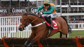 Warren Greatrex fires Cole Harden warning ahead of Cheltenham
