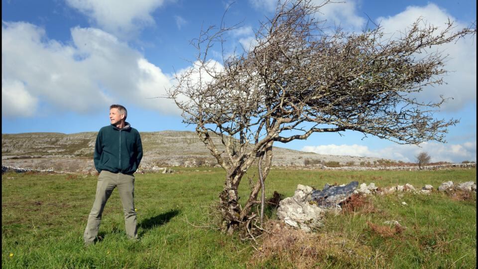 Brendan Dunford of the Burren Farming for Conservation Programme. Photograph: Brenda Fitzsimons