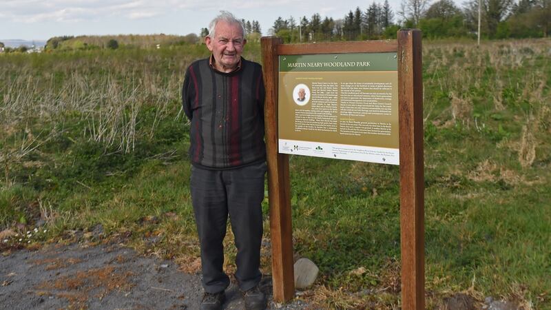 Martin Neary in the Woodland Park he has created beside his home in Madogue, Co Mayo. Photograph: Conor McKeown