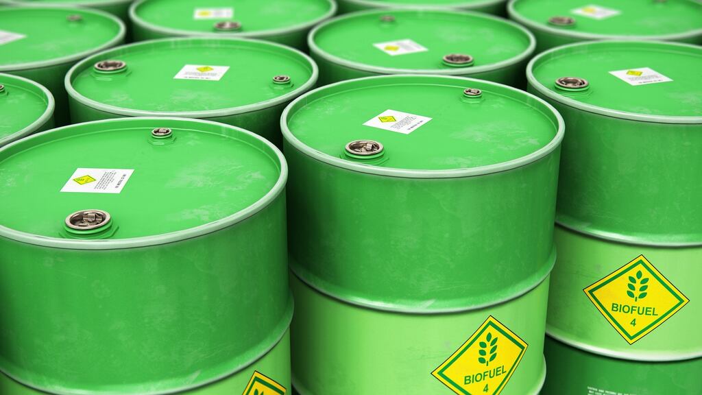 Biogas could potentially replace the fossil-based methane gas currently used in Ireland’s gas network