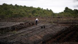 The Irish Times view on the turf sale ban: the right call