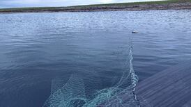 Four men convicted of illegal salmon angling offences in Co Sligo