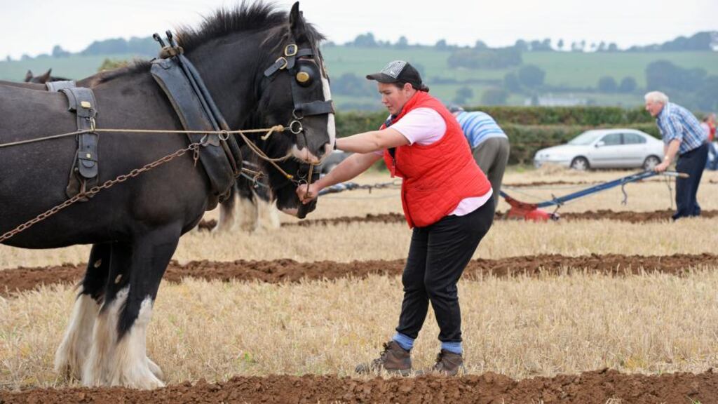 Majella Hand, from Monaghan, leading the horses at the championships in Laois. Photograph: Eric Luke