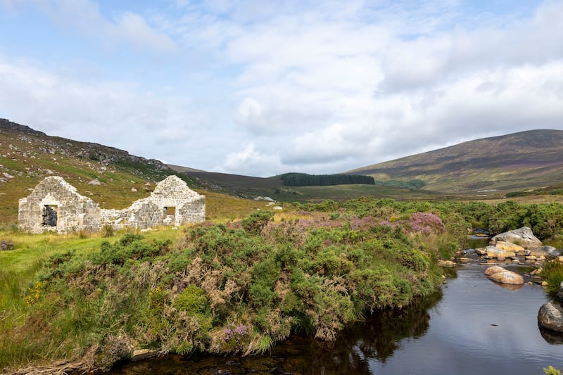 Glendasan Miner village on the Saint Kevin's Way Pilgrim Path. Photograph: Tom Honan