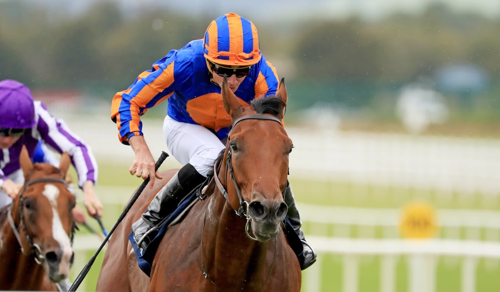 Aesop's Fables ridden by Ryan Moore wins The Galileo Irish EBF Futurity Stakes at the Curragh in August. Photograph: Donall Farmer/PA Wire/PA Images