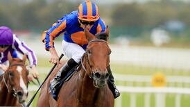 Aidan O’Brien aiming for record-equalling eighth Dewhurst Stakes with Aesop’s Fables