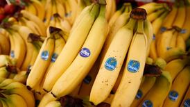 Chiquita shareholders advised to reject Fyffes’s takeover