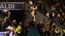 Joe Schmidt’s report card comes back looking healthy