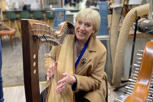 In a united Ireland, should everyone be given a choice of Irish, British or dual identity?