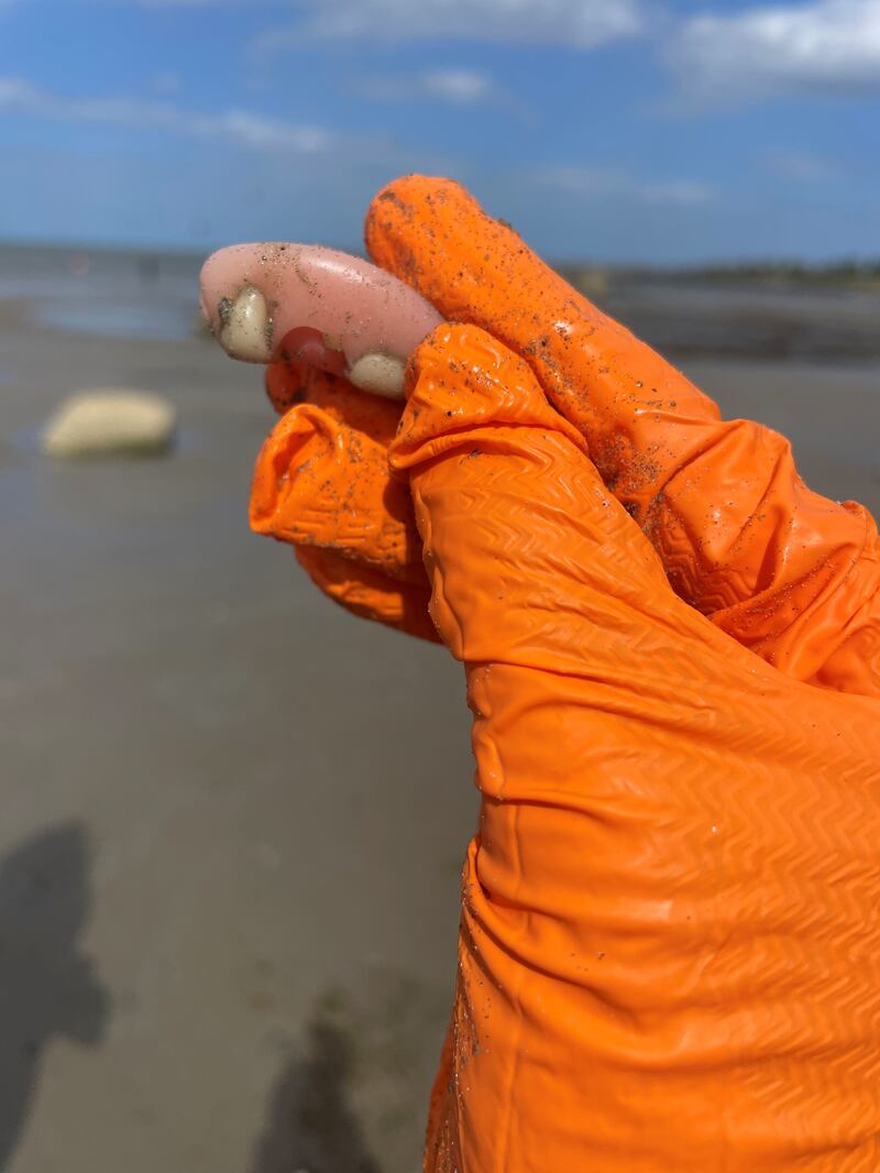 Dentures collected by Flossie and the Beach Cleaners