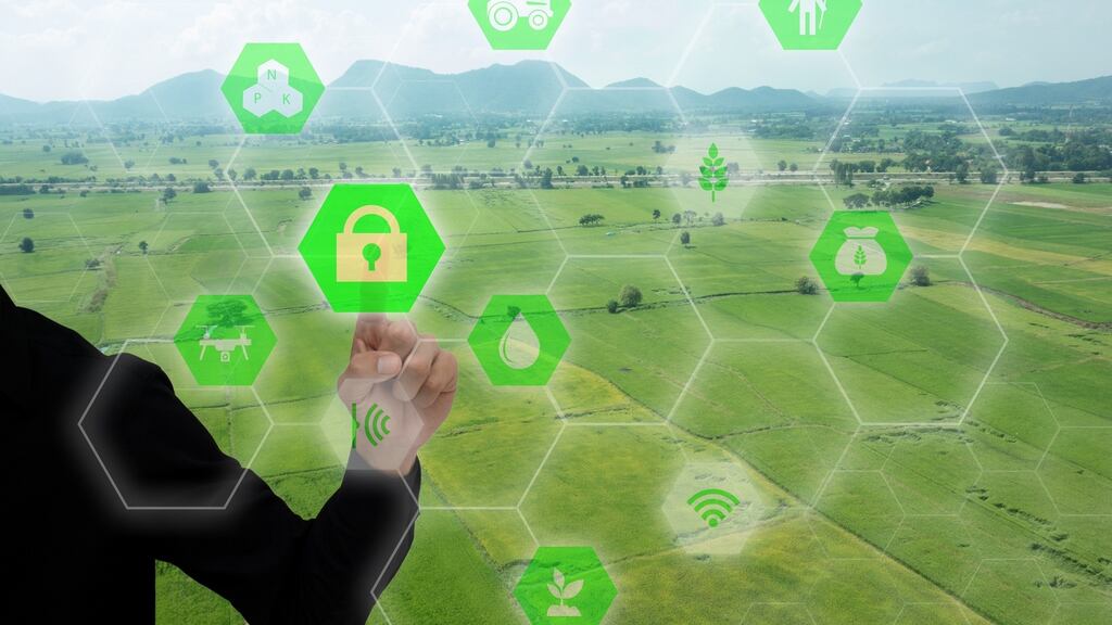 The application of internet of things technology to agriculture has seen major investment. Photograph: iStock