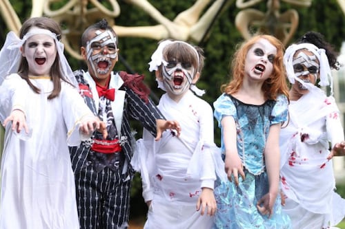 No plans for the bank holiday and Halloween? You need to read this