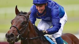 Pinatubo puts in one of the great juvenile performances