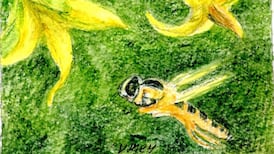 Insects on the radar: Keeping track of the crucial marmalade hoverfly