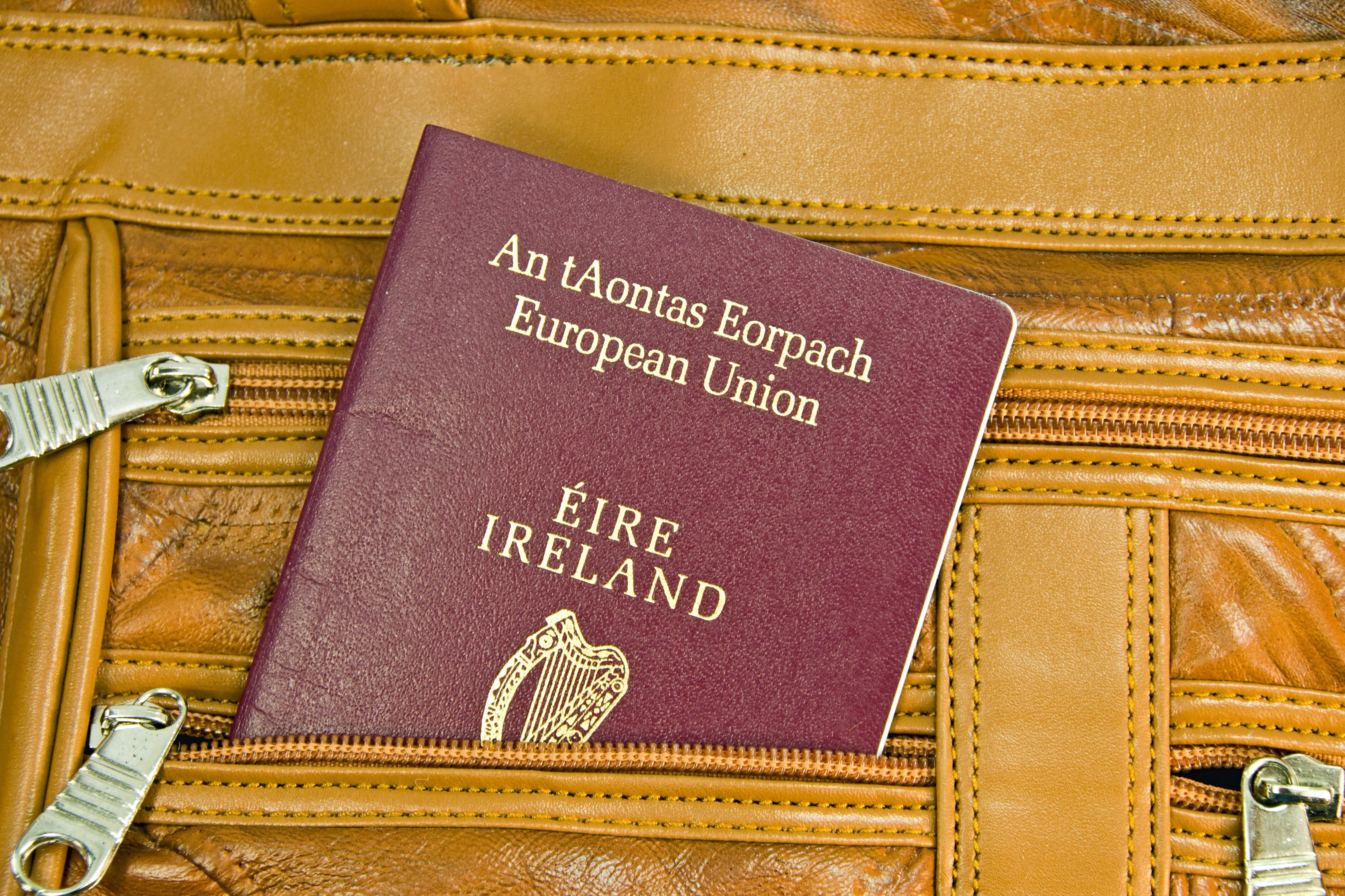 Ireland is one of the EU’s most successful case studies