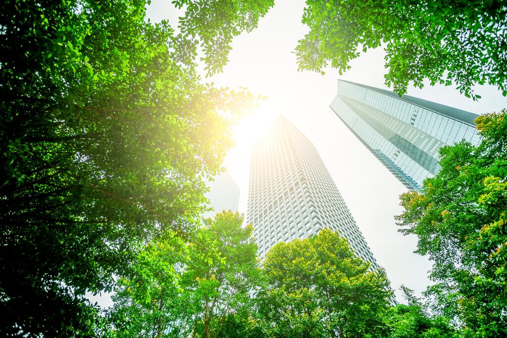 SMEs can access lending terms of up to 10 years on loans ranging from €25,000 to €3 million, with amounts of up to €500,000 available on an unsecured basis. Photograph: iStock