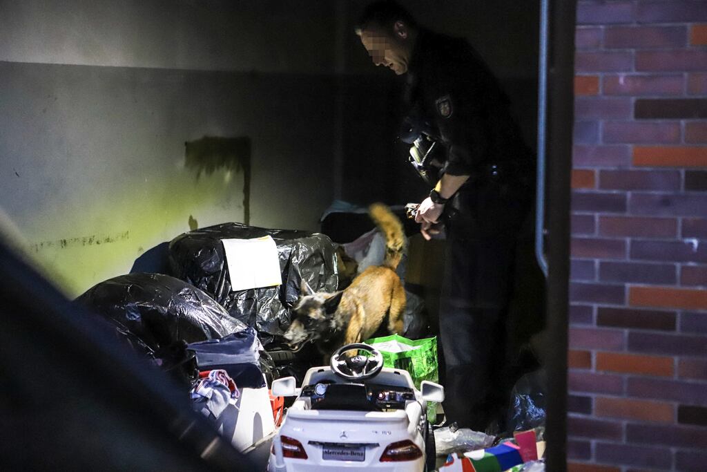 A police officer and a police dog search a garage in Hagen, western Germany as part of a Europe-wide operation against the notorious Italian 'Ndrangheta mafia. Photograph: Alex Talash/AFP