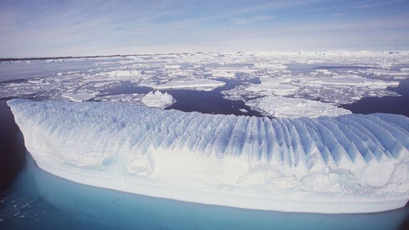 It is the first time the tiny plastics have been found in fresh snowfall, the researchers say Photograph: Reuters/Australian Antarctic Division