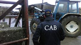 Herd of cattle seized by Criminal Assets Bureau over unpaid taxes