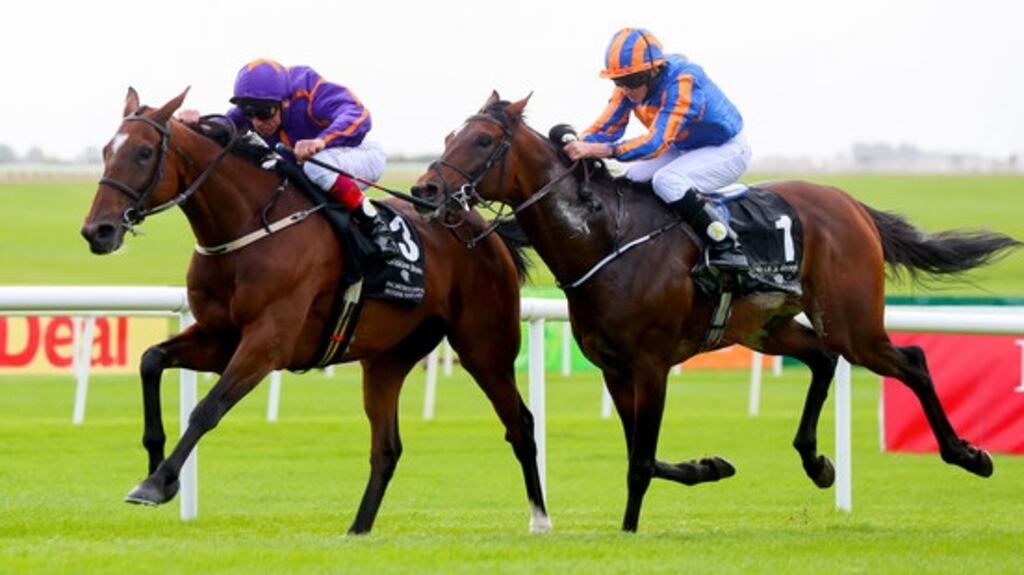 Wicklow Brave holds off Order Of St George to take the 2016 Irish St Leger. Photograph: James Crombie/Inpho