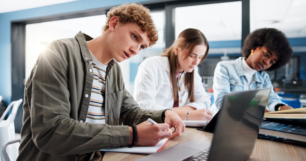 Further Education and Training is for everyone, with Post Leaving Certificate courses on offer in every county through local Education and Training Boards. School leavers don’t have to go far to get started through local PLCs, available at little or no cost. Photograph: iStock