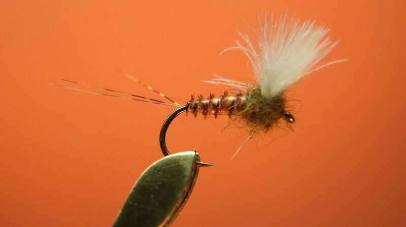 The Olive Comparadun, tied by Jimmy Tyrrell