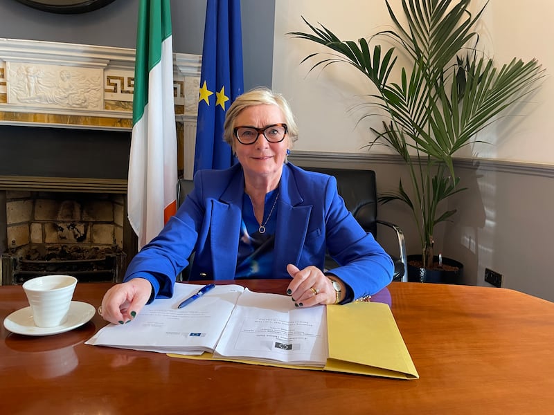 'The most important thing is getting directives through' says Irish MEP and former Justice Minister Frances Fitzgerald. Photograph: Grainne Ni Aodha/PA Wire