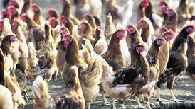 Government concerned about avian flu measures on both sides of Border