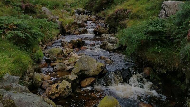 A stream in the Nephin Mountains, Co Mayo. Small streams make up about three-quarters of the length of the Irish river network. Of the 74,000km of river channels in Ireland, almost 57,000km are streams