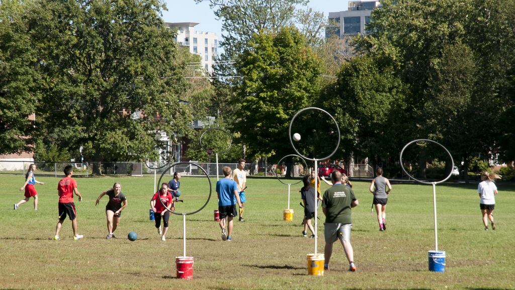 The terrestrial form of Quidditch is sometimes known as Muggle Quidditch. Photograph: iStock