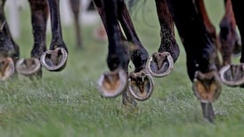 Jockeys’ association: rise in positive cocaine tests reflective of society