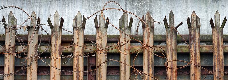 Photograph: Frankie Quinn