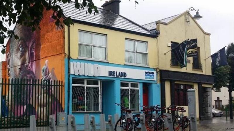 Wild Ireland, Limerick: “brings vibrancy and colour to the King John’s area”