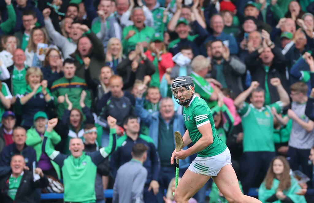 Limerick’s Gearoid Hegarty is just one of the many threats in the reigning champions' potent attack. Photograph: James Crombie/Inpho