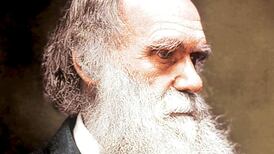 Facial expressions and what they really mean