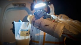 Why growing mosquito numbers are driving the spread of tropical diseases in Europe