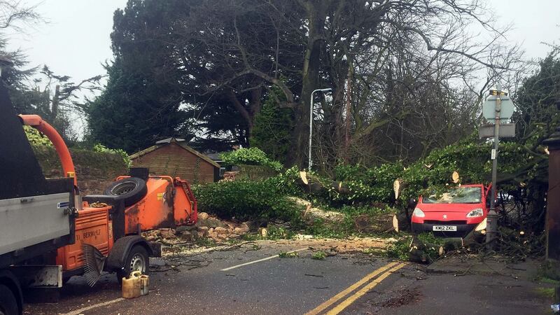 A tree which fell on to a van in St Anne’s Road in Aigburth, Liverpool. Photograph: Eleanor Barlow/PA
