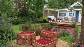 Select: From literature to design – with all you can eat in between