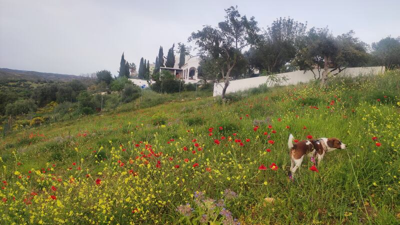 'What sold it to us was its view west over the Monchique mountains.'