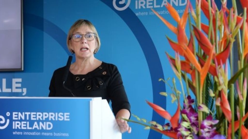 The basic salary for Enterprise Ireland’s former chief executive Julie Sinnamon last year totalled €189,619. Photograph: Dara Mac Dónaill