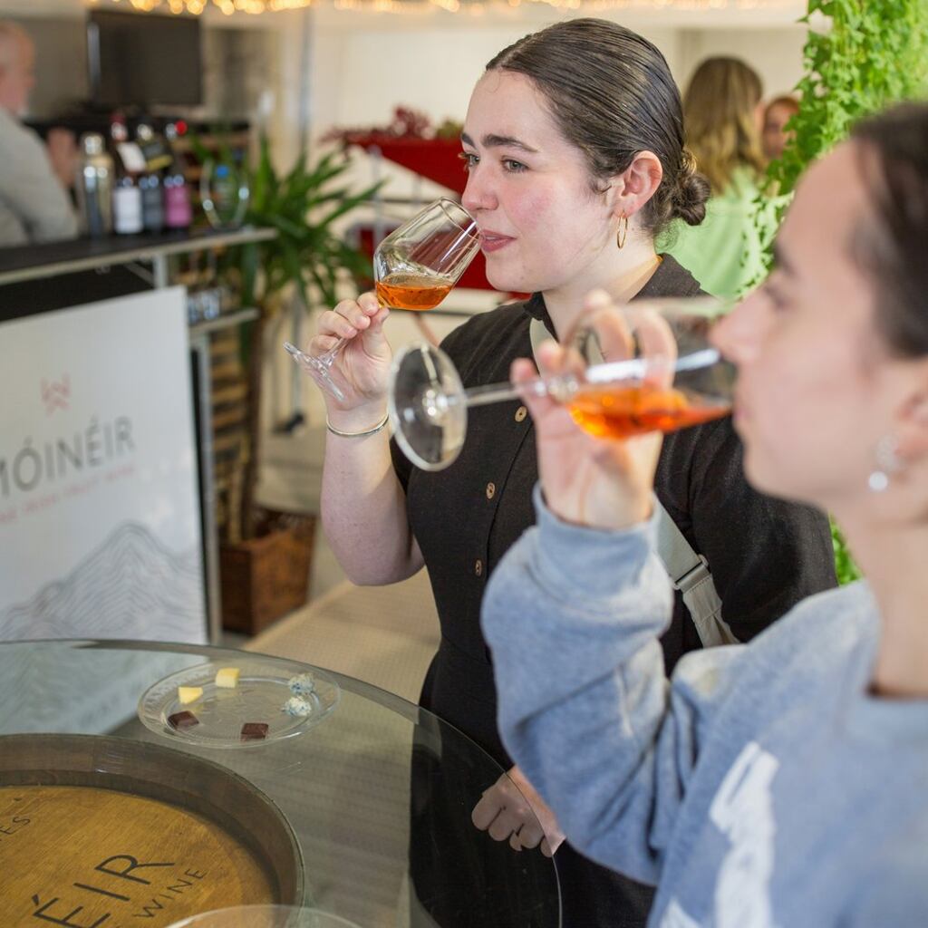 Wicklow Way Wines produce wines from strawberries, raspberries and blackberries