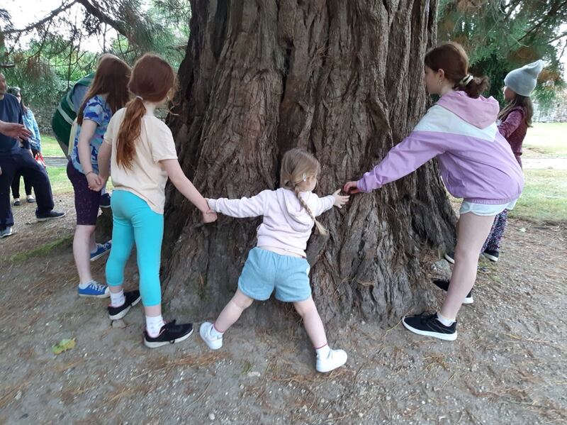 At an event for National Heritage Week in Co Carlow, children get into the spirit of embracing nature at Myshall Community Family Biodiversity Day, organised by Myshall Nature.