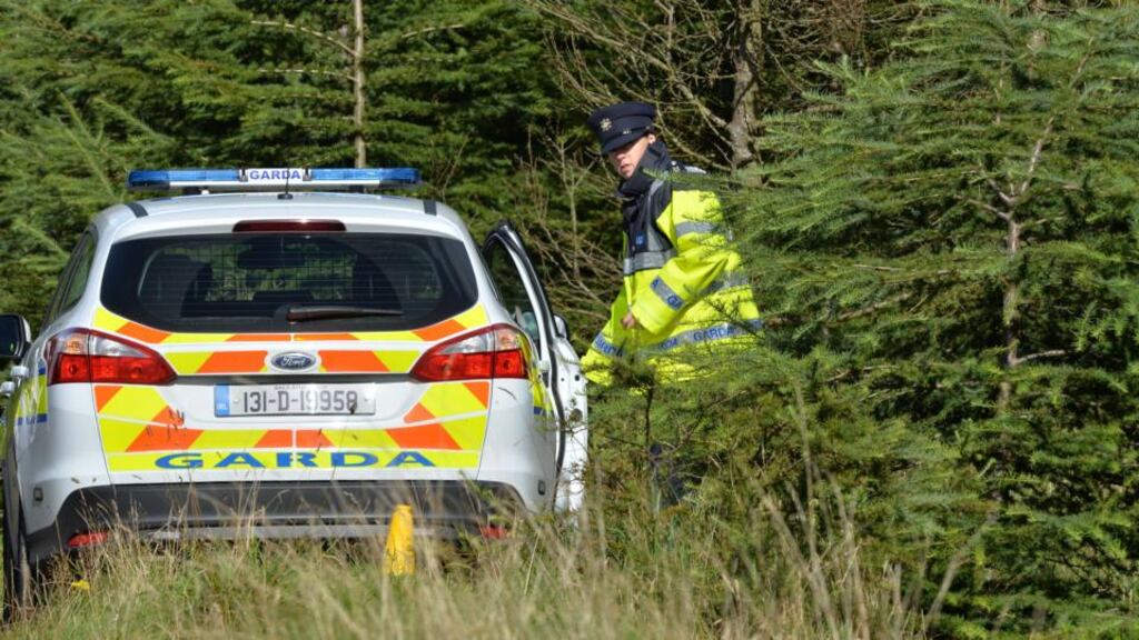 Gardaí in a wooded area of Killakee Mountain, Rathfarnham, Co Dublin, where skeletal remains were found by a walker. Photograph: Alan Betson